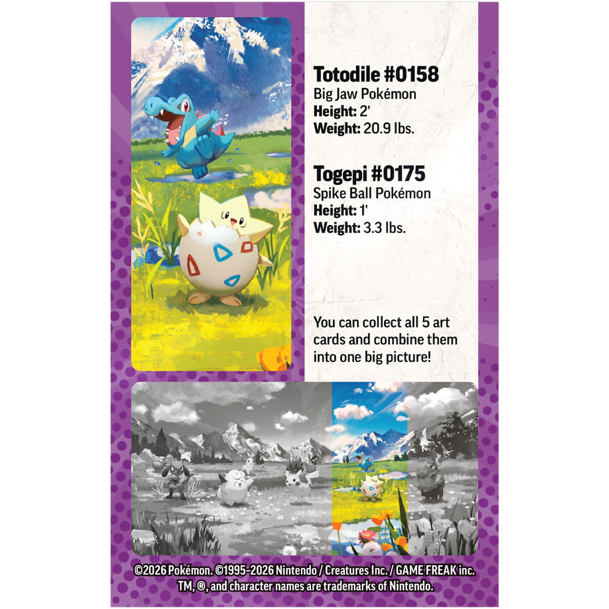 Pokemon Ascended Heroes Togepi Tin